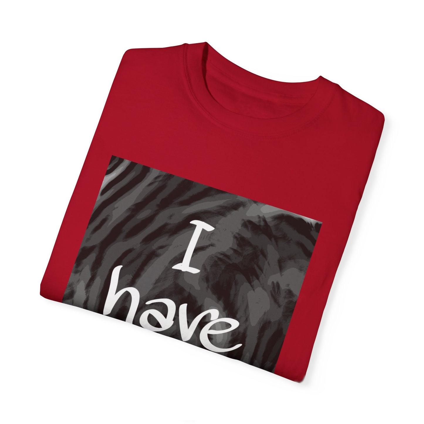 "I Have Style" Unisex Garment-Dyed T-shirt